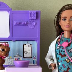 Barbie The Vet and Puppy