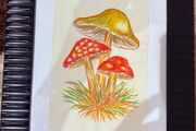 Original Watercolour paintings - 15 euro each