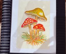 Original Watercolour paintings - 15 euro each
