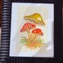 Original watercolour - 15 euro each Image 3