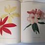 Flower Paintings Graham Stuart Thomas Image 7