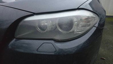 BMW headlights F10 halogen