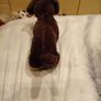 Otto the Sausage Dog Jellycat Image 3