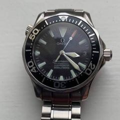 Omega Seamaster Professional Watch