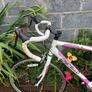 Castello Ladies Bike Image 2