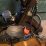 electric scooter Image 10