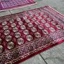 rug Image 5