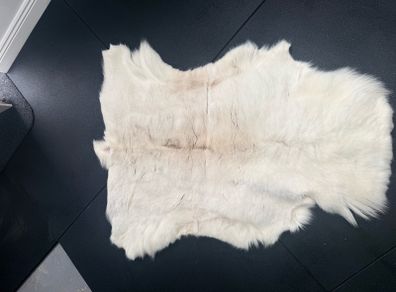 2pcs deer skin