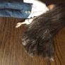 Bratz Yasmin 2001 Doll Image 7