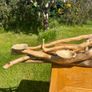 hand crafted drift  wood centre piece Image 9