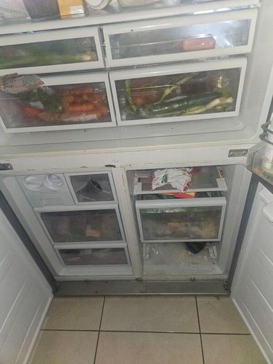 fridge and freezer