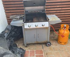 BBQ gas. Read full ad