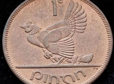[#416] - Ireland 1950 | One Penny | Irish 1d | Irish Penny | KM.11 | UNC