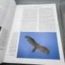 Handbook of the Birds of the World Volume 2 Vultures to Guineafowl-Lynx Edicions Image 9
