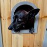 Indoor Wooden Dog Kennel Image 2