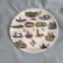 london plate for sale Image 4