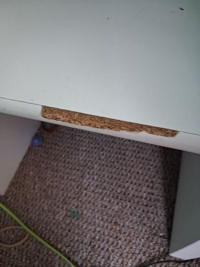 Kids Bunkbed