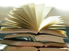 French tutor available for 1 to 1 lessons online ; all levels welcome Image 3