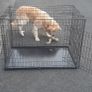 Dog crate Image 3