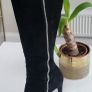 BALLY SHADY black leather suede knee high boots Sz 40.5 (Fit 7-7.5UK) - Rrp 395 (New) Image 5