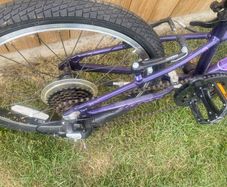 20" carrerra girls bike