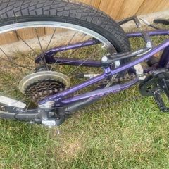 20" carrerra girls bike