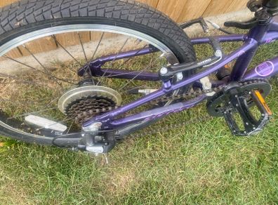 20" carrerra girls bike