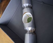 for making into a floral arrangement