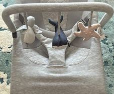 Baby bouncer