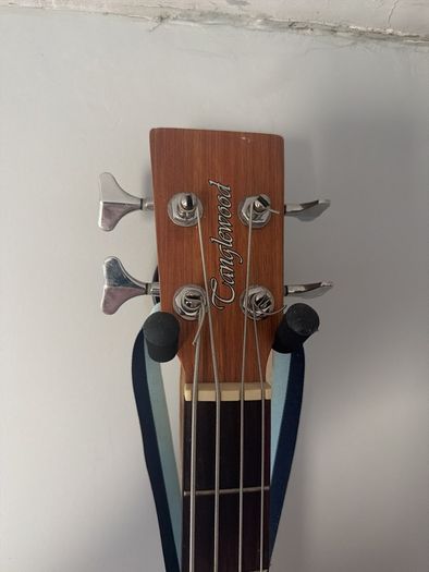 Tanglewood Acoustic Bass