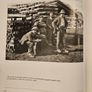 Forest Images. Fr Browne's Woodland Photographs From Emo Court Co Laois. Fabolous FIRST EDITION Large Volume Hardback In Good Condition.  See Photos For Same. Image 8
