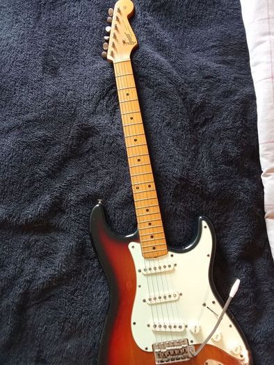 greco strat 81