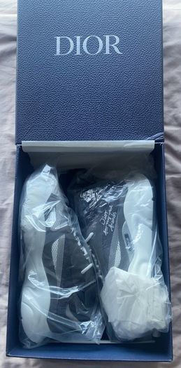 Dior b22