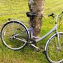 bike Image 2
