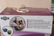 dog toy