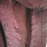 ladies Coat. ( Jacket) Size 18. Wine Colour,. NOW REDUCED TO 20.00 Image 6