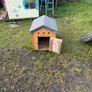dog box Image 3