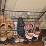 Shoe rack in black colour Image 3