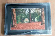 Photo autumn in St. Annes