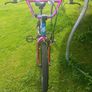 BMX girls bike Image 2