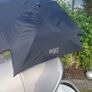 buggy Image 3
