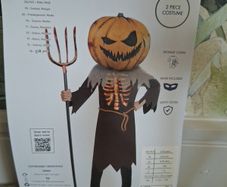 Scary Pumpkin Costume/ Fancy Dress