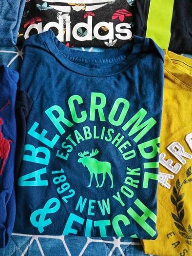 Designer boys t-shirt bundle