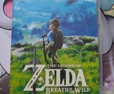 zelda breath of the wild Nintendo switch