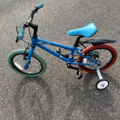 Raleigh pop kids bike