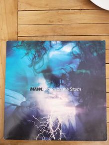 Mann Riders On The Storm 12 inch Vinyl 1991 A&M Records Dance Classic