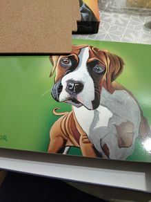 mutz Eoin O'Connor placemats