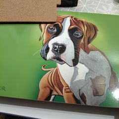 mutz Eoin O'Connor placemats