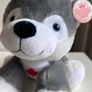 Canada stuffed plush Husky with Maple Leaf embroidery Image 7