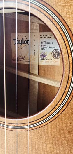 Taylor 517e Builder's Edition
